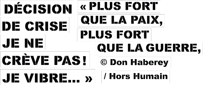 Ensemble de 12 pochoirs sur mesure
